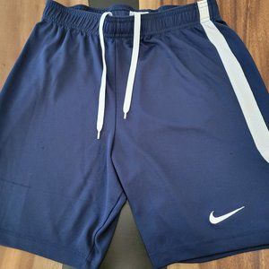 2 Nike Dri-Fit Shorts